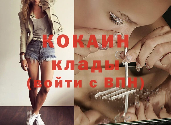 кокс Арсеньев