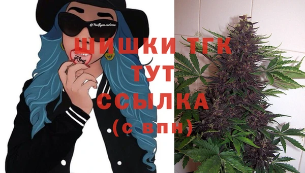 круглые Сосновый Бор